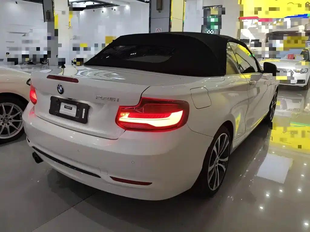 2019 BMW 2 Series (Imported) 225i Convertible Coupe Sport Design Package — миниатюра 7