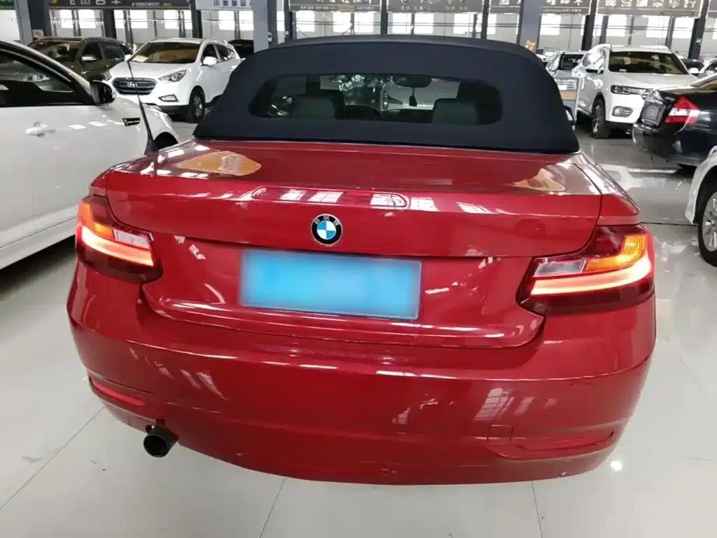 2015 BMW 2 Series (Imported) 218i Convertible Coupe — миниатюра 6