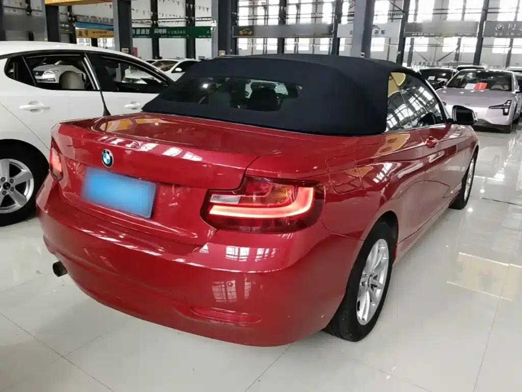 2015 BMW 2 Series (Imported) 218i Convertible Coupe — миниатюра 7