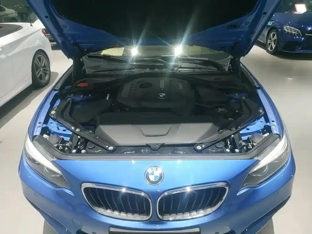 2018 BMW 2 Series Imported 225i Convertible Coupe M Sport — миниатюра 10