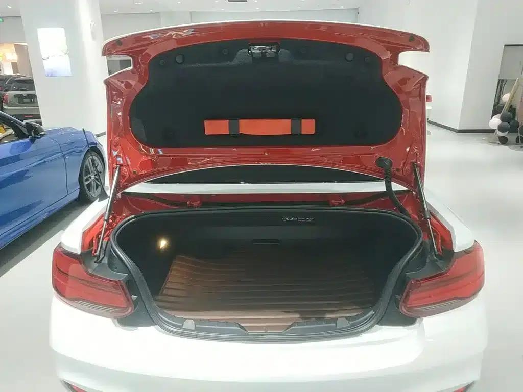 2018 BMW 2 Series Imported 225i Convertible Coupe M Sport — миниатюра 15