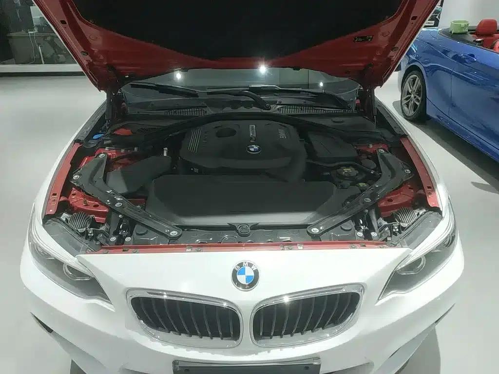 2018 BMW 2 Series Imported 225i Convertible Coupe M Sport — миниатюра 16