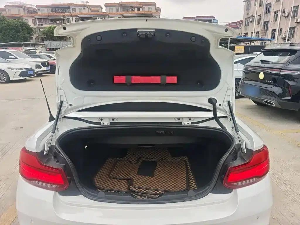 2018 BMW 2 Series (Imported) 225i Convertible Coupe M Sport — миниатюра 19