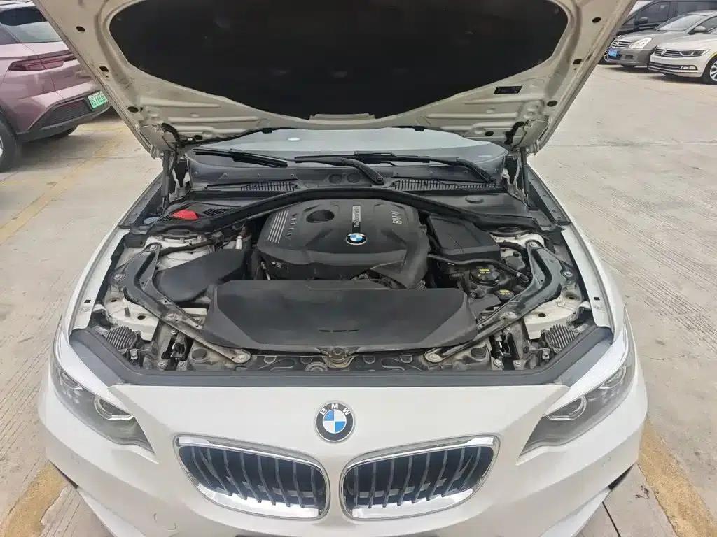 2018 BMW 2 Series (Imported) 225i Convertible Coupe M Sport — миниатюра 20