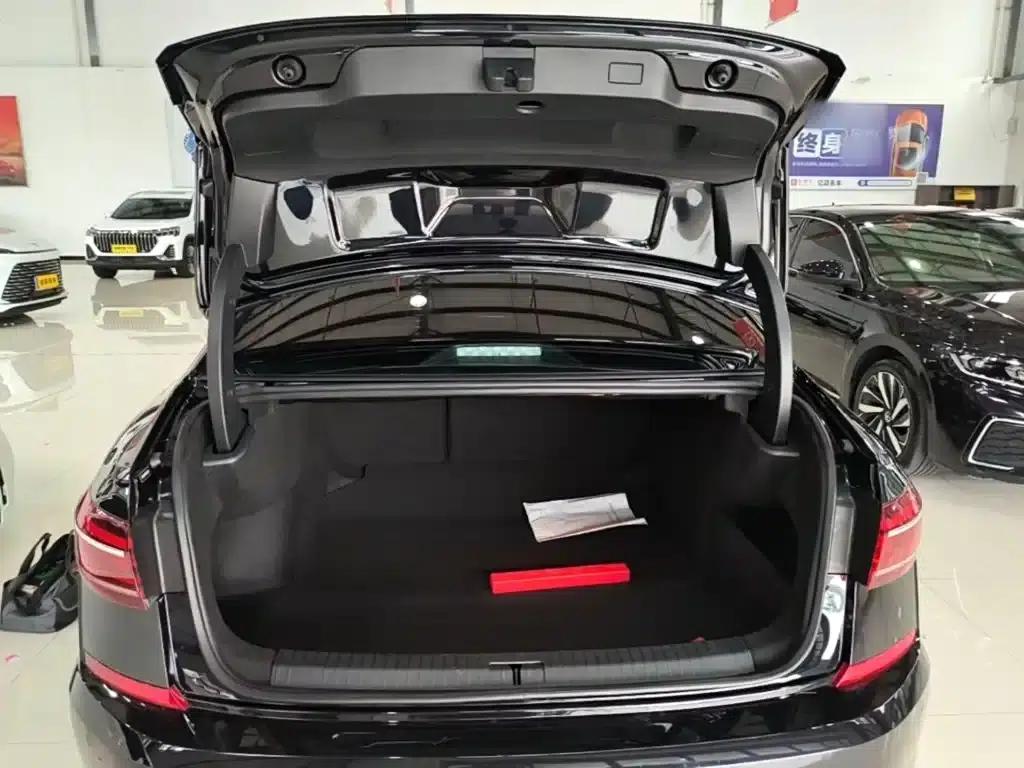 2025 Passat Outstanding Edition 380TSI Dragon Edition — миниатюра 19