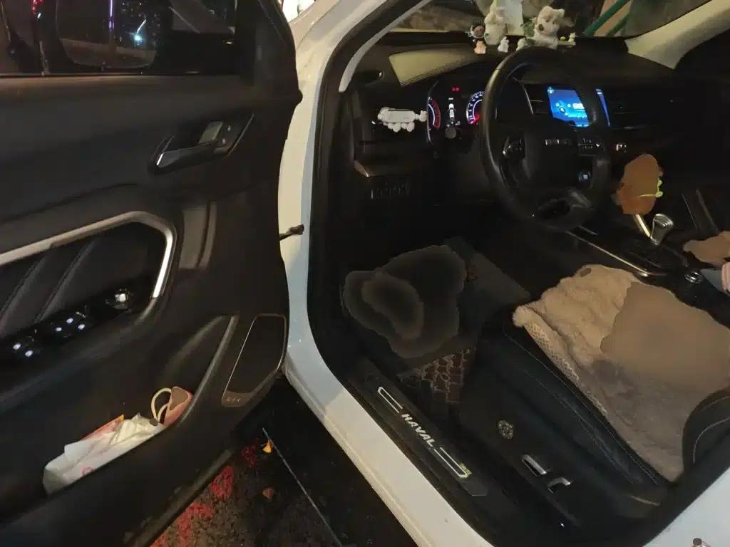 Haval H6 2019 Red Label 2.0GDIT Automatic Luxury Intelligent Edition — миниатюра 14