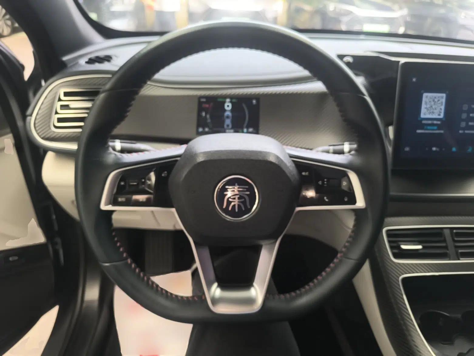 BYD Qin PLUS 2021 DM-i 55KM Flagship Model — миниатюра 13
