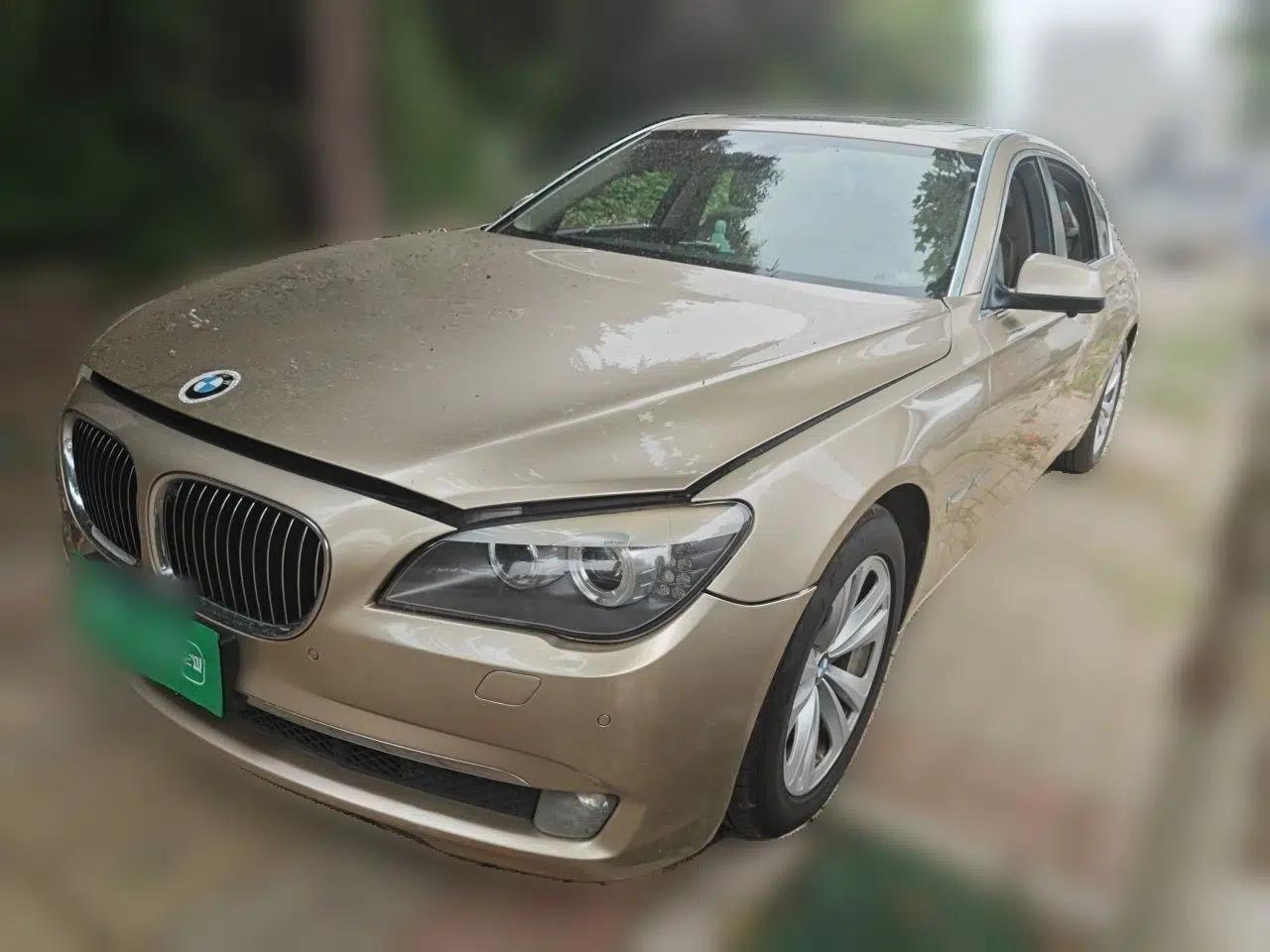 BMW 7 Series 2009 730Li Luxury Model — миниатюра 1