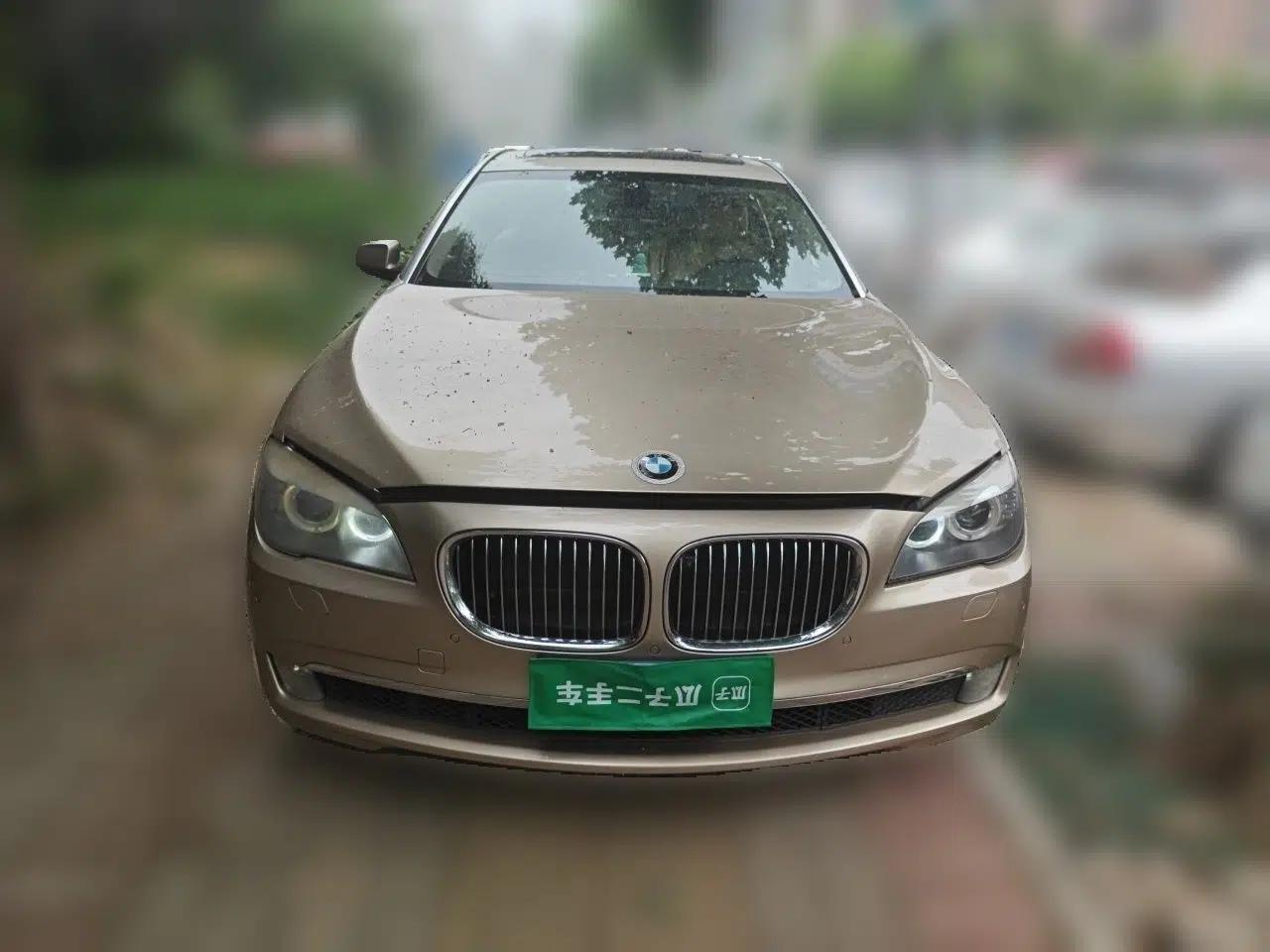 BMW 7 Series 2009 730Li Luxury Model — миниатюра 2