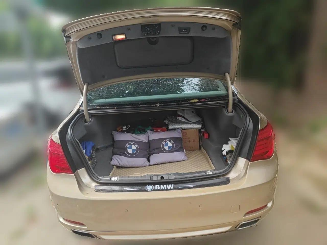 BMW 7 Series 2009 730Li Luxury Model — миниатюра 19