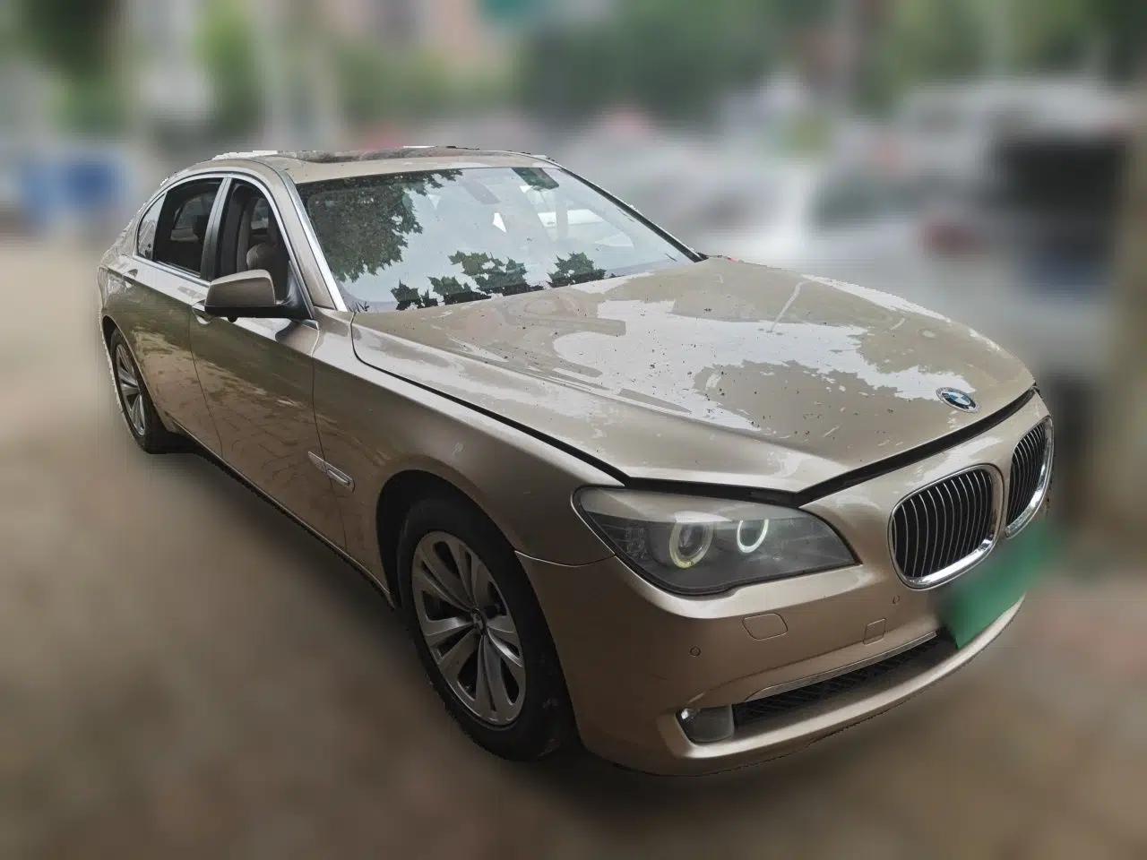 BMW 7 Series 2009 730Li Luxury Model — миниатюра 3
