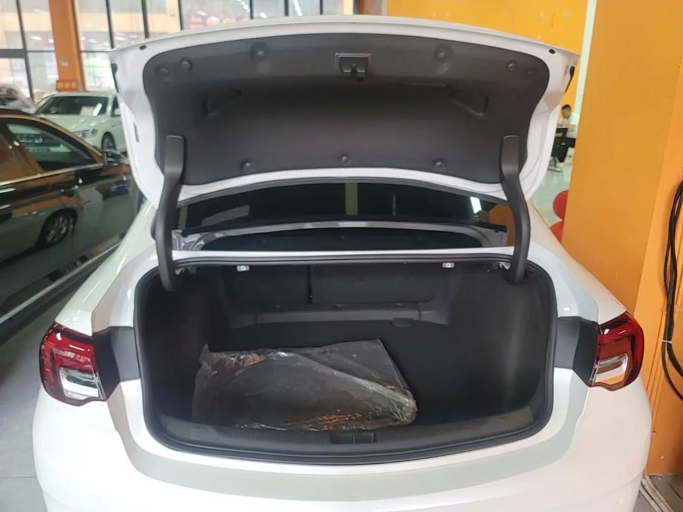 Buick Regal 2024 25T Deluxe Edition — миниатюра 22