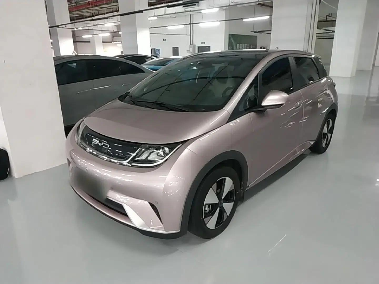 BYD Dolphin 2023 420 km Fashion Edition — миниатюра 1