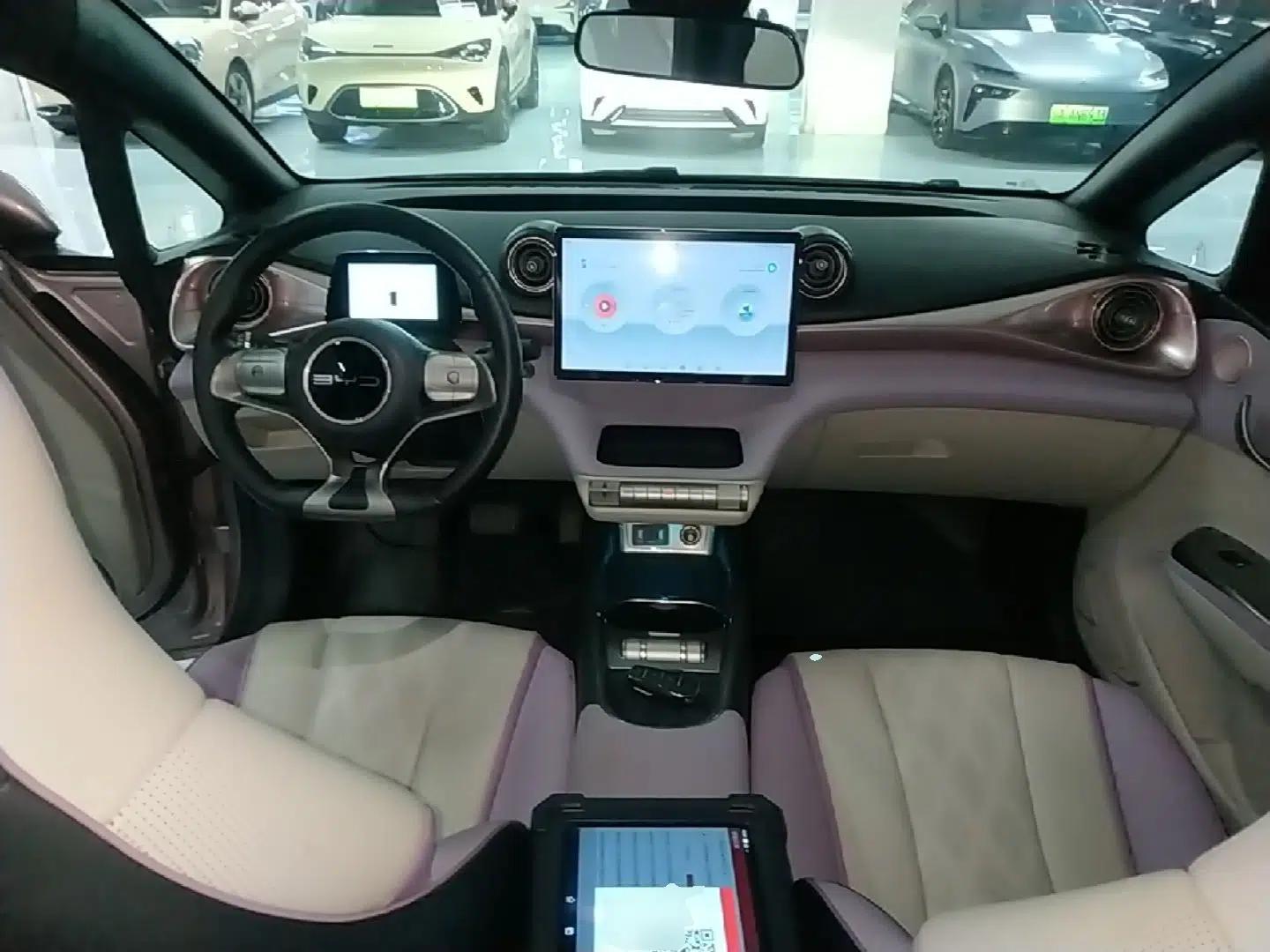 BYD Dolphin 2023 420 km Fashion Edition — миниатюра 12