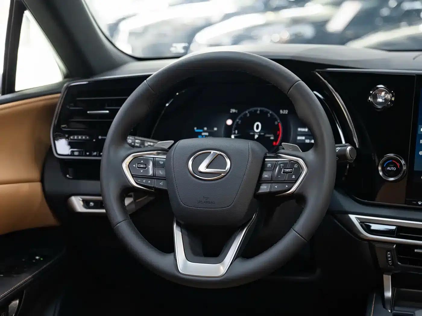 Lexus RX 2025 300 AWD Luxury Edition — миниатюра 14