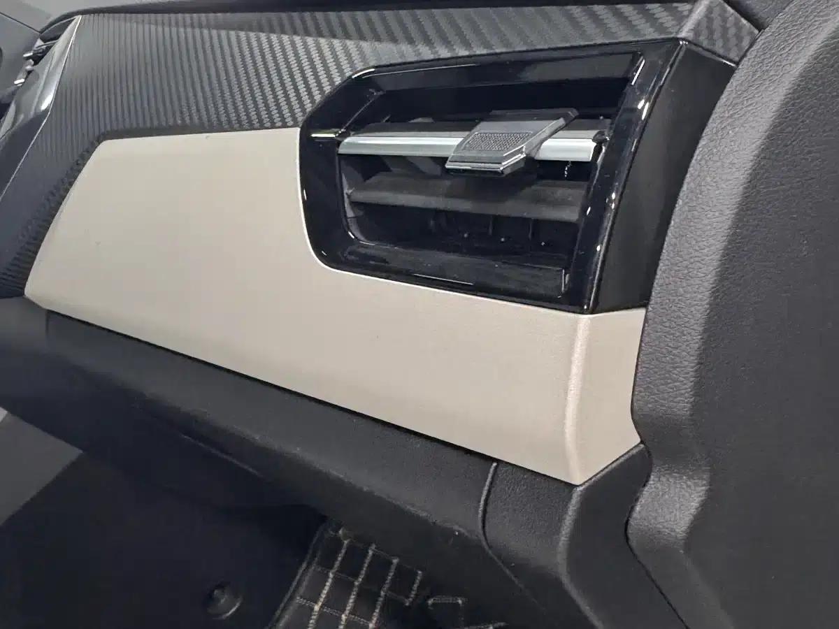 Chery Tiggo 3x 2022 PLUS 1.5L CVT Enjoyable Pine Nut Edition — миниатюра 23