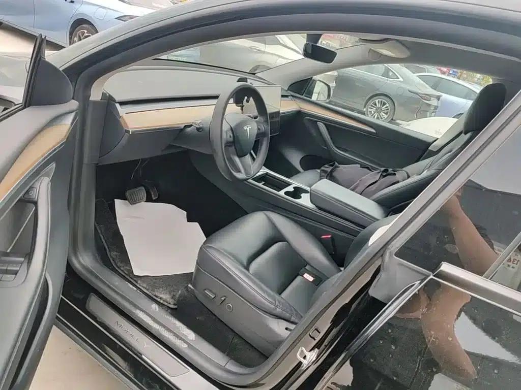Model Y 2021 Standard Range Rear-Wheel Drive — миниатюра 15