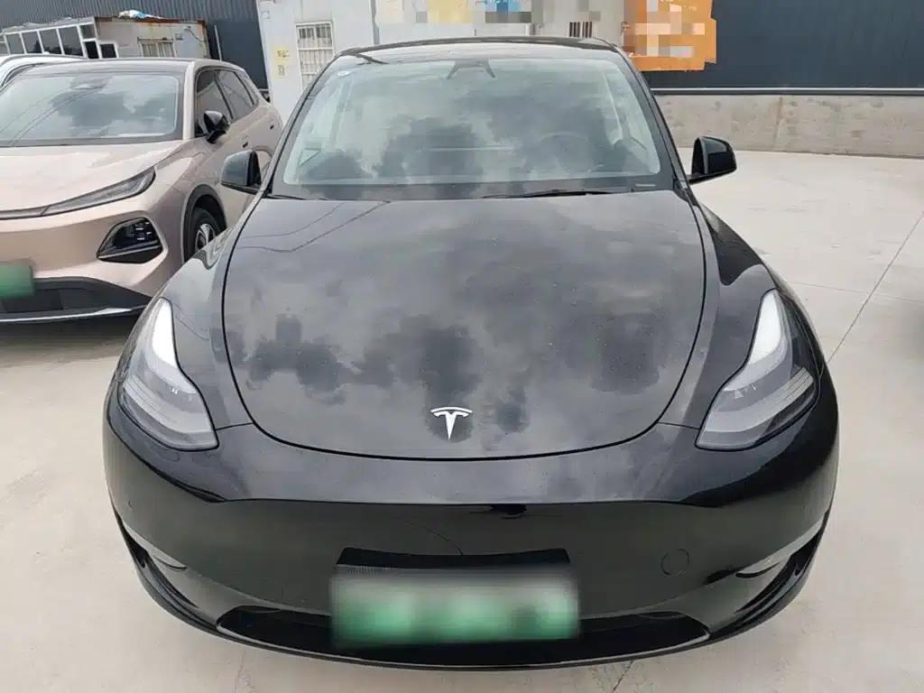 Model Y 2021 Standard Range Rear-Wheel Drive — миниатюра 3