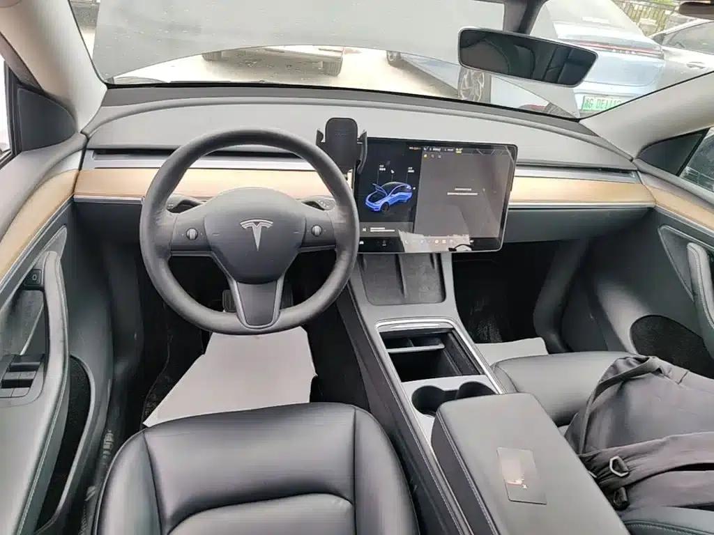 Model Y 2021 Standard Range Rear-Wheel Drive — миниатюра 10