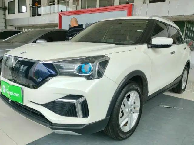 Venucia T60EV 2020 AI Enjoyment Model
