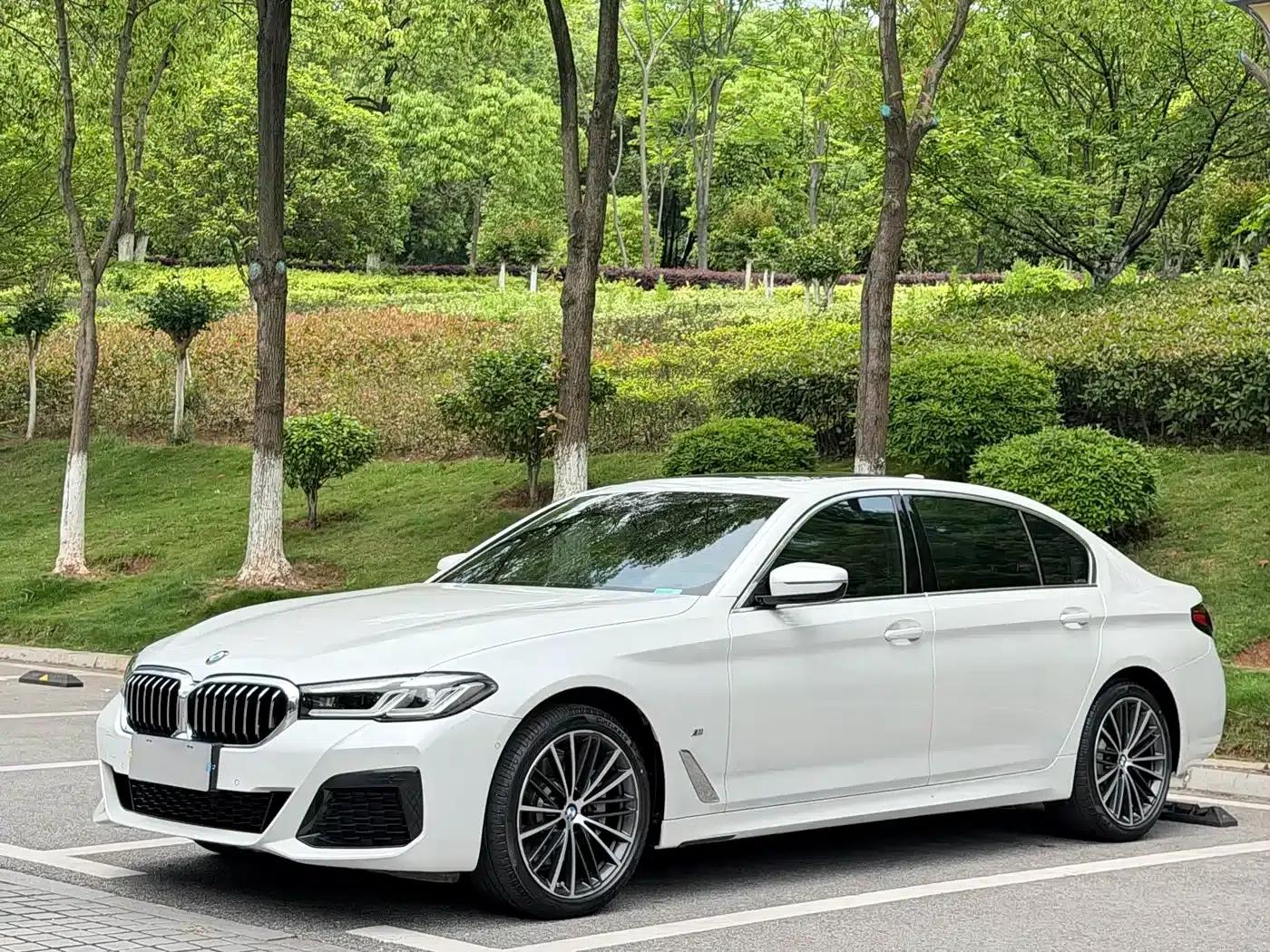 2021 BMW 5 Series 530Li Leading Edition M Sport Package — миниатюра 1