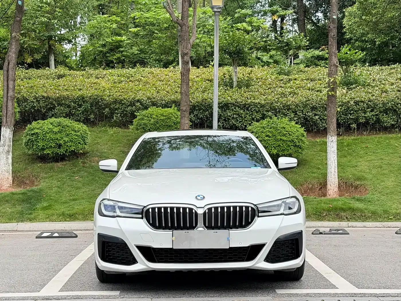 2021 BMW 5 Series 530Li Leading Edition M Sport Package — миниатюра 2