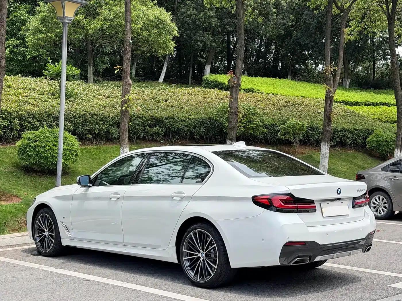 2021 BMW 5 Series 530Li Leading Edition M Sport Package — миниатюра 11
