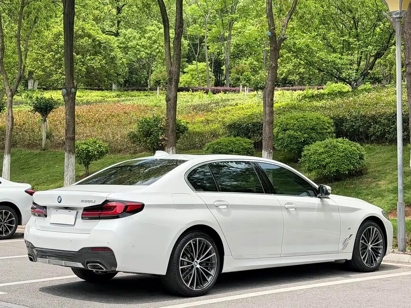 2021 BMW 5 Series 530Li Leading Edition M Sport Package — миниатюра 13