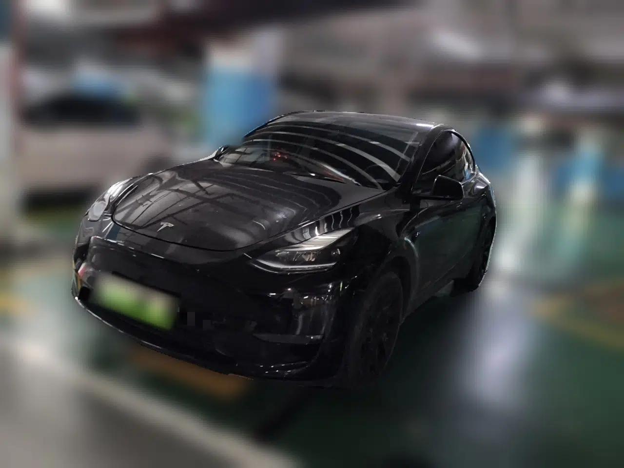Tesla Model Y 2021 Standard Range Rear-Wheel Drive Version — миниатюра 1