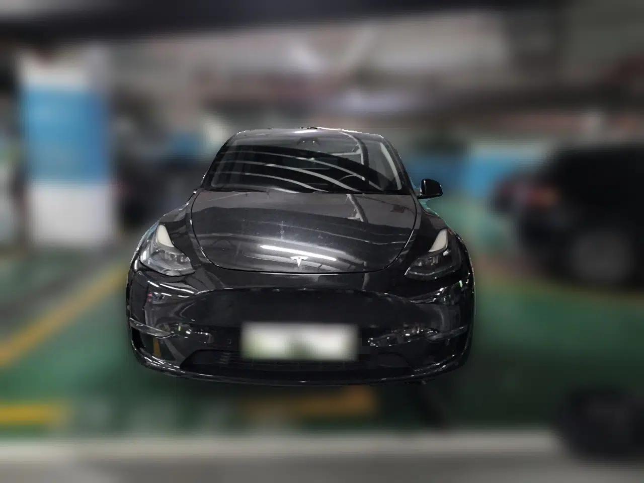 Tesla Model Y 2021 Standard Range Rear-Wheel Drive Version — миниатюра 2
