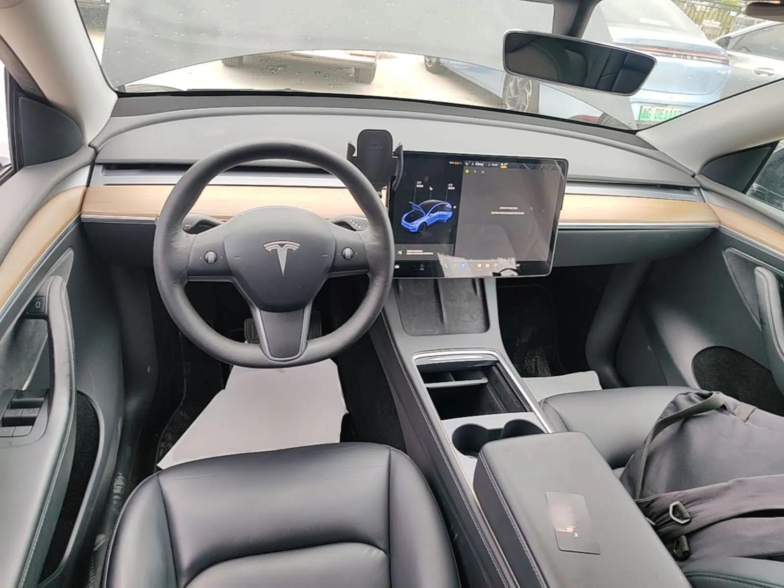 Tesla Model Y 2021 Standard Range Rear-Wheel Drive Version — миниатюра 17