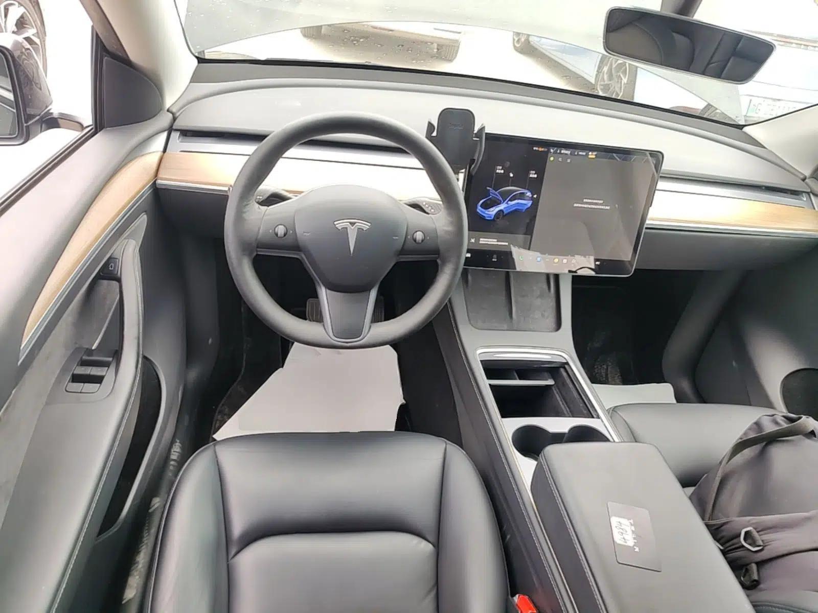 Tesla Model Y 2021 Standard Range Rear-Wheel Drive Version — миниатюра 18