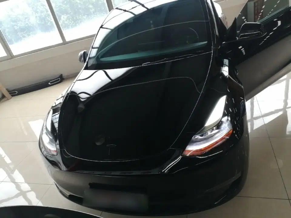 Tesla Model Y 2021 Standard Range Rear-Wheel Drive Version — миниатюра 2