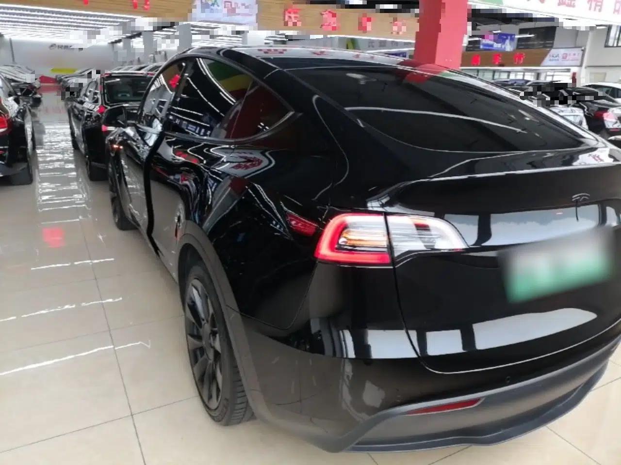 Tesla Model Y 2021 Standard Range Rear-Wheel Drive Version — миниатюра 4