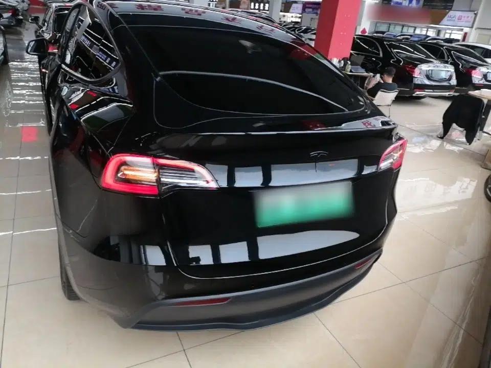 Tesla Model Y 2021 Standard Range Rear-Wheel Drive Version — миниатюра 5
