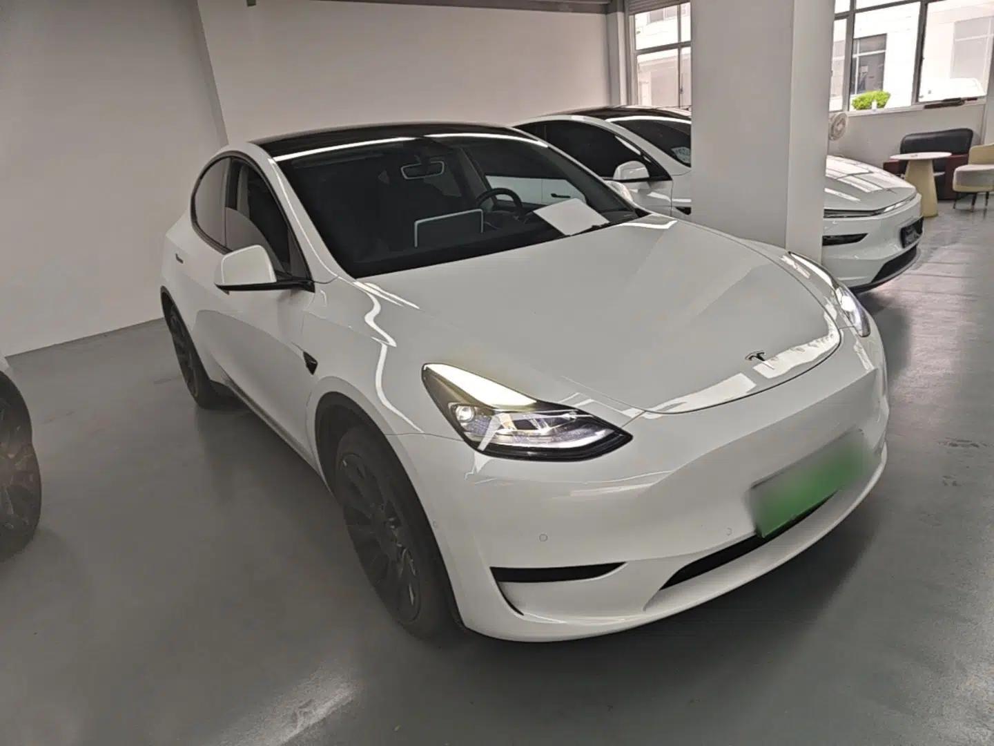 Tesla Model Y 2022 Revised Version Rear-Wheel Drive — миниатюра 3