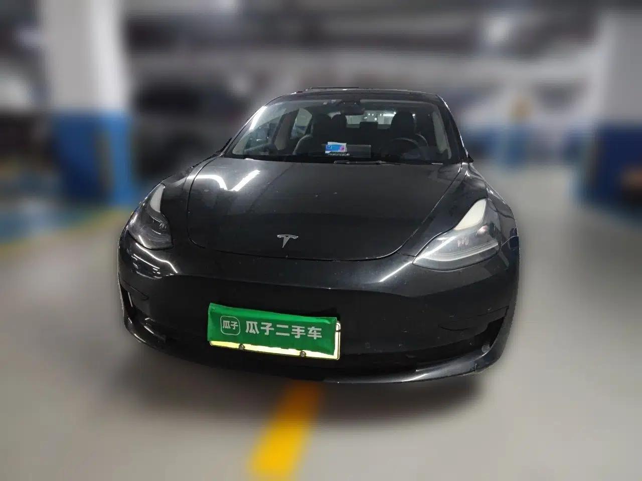 Tesla Model 3 2021 Revised Version Standard Range Rear-Wheel Drive Upgraded Edition 3D1 — миниатюра 2