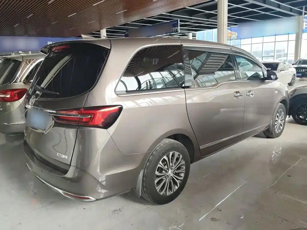 Buick GL8 2021 Land Business Class 652T Luxury — миниатюра 5