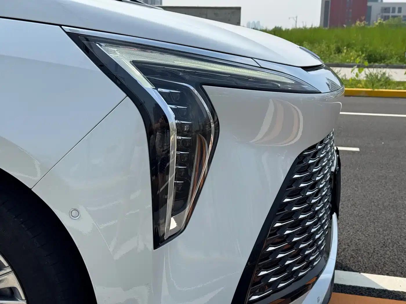 Century 2023 2.0T Four-Seat Private Edition — миниатюра 4