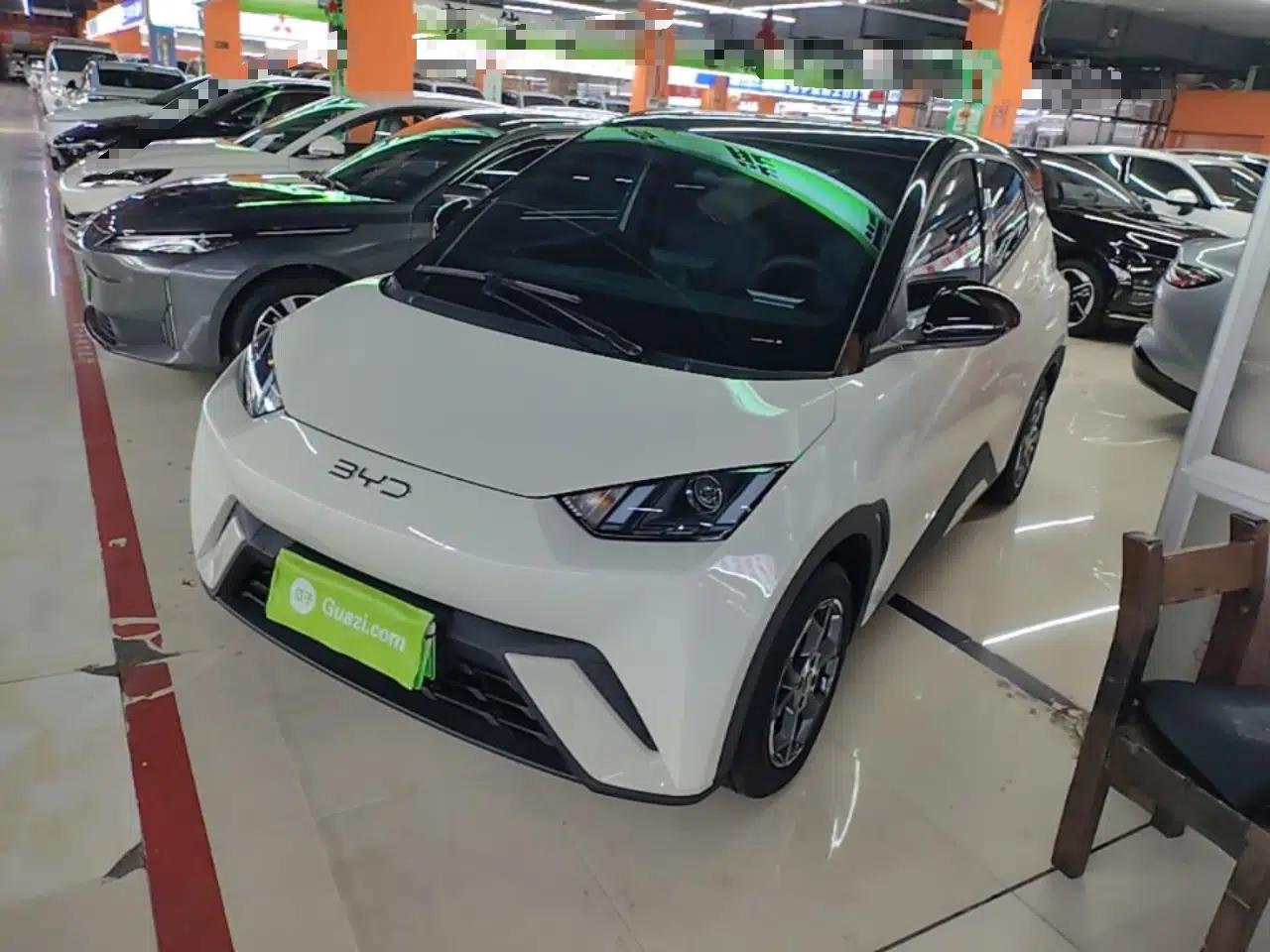 BYD Seagull 2025 305km Active Version — миниатюра 1