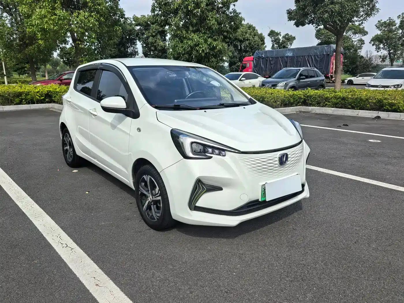 Changan Benben E-Star 2020 Heartfelt Edition Ternary Lithium Lithium — миниатюра 3