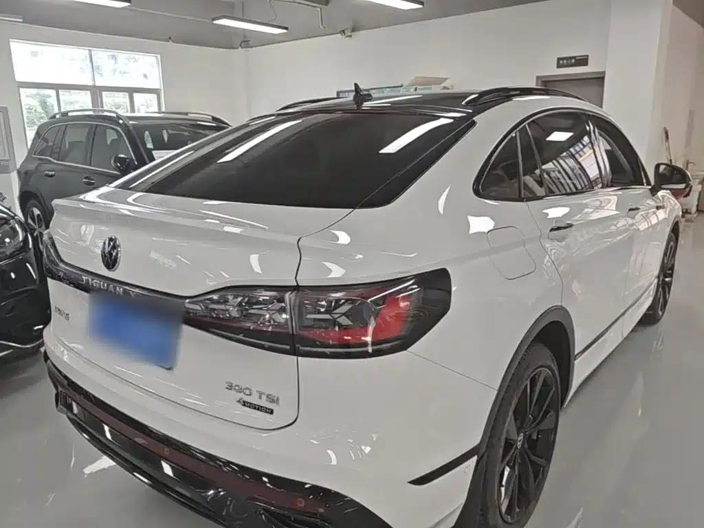 Tiguan X 2023 330TSI 2WD Premium Flagship Edition — миниатюра 7