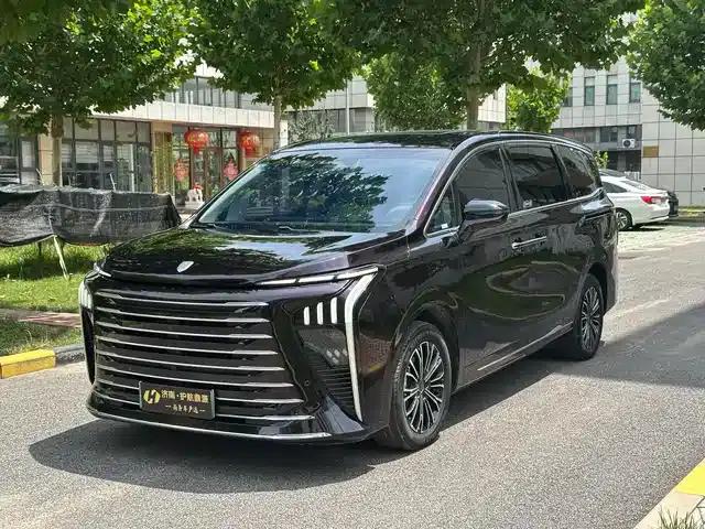 Xinghai V9 2024 1.5TD 200km Qingyun Ladder Series Premium Model