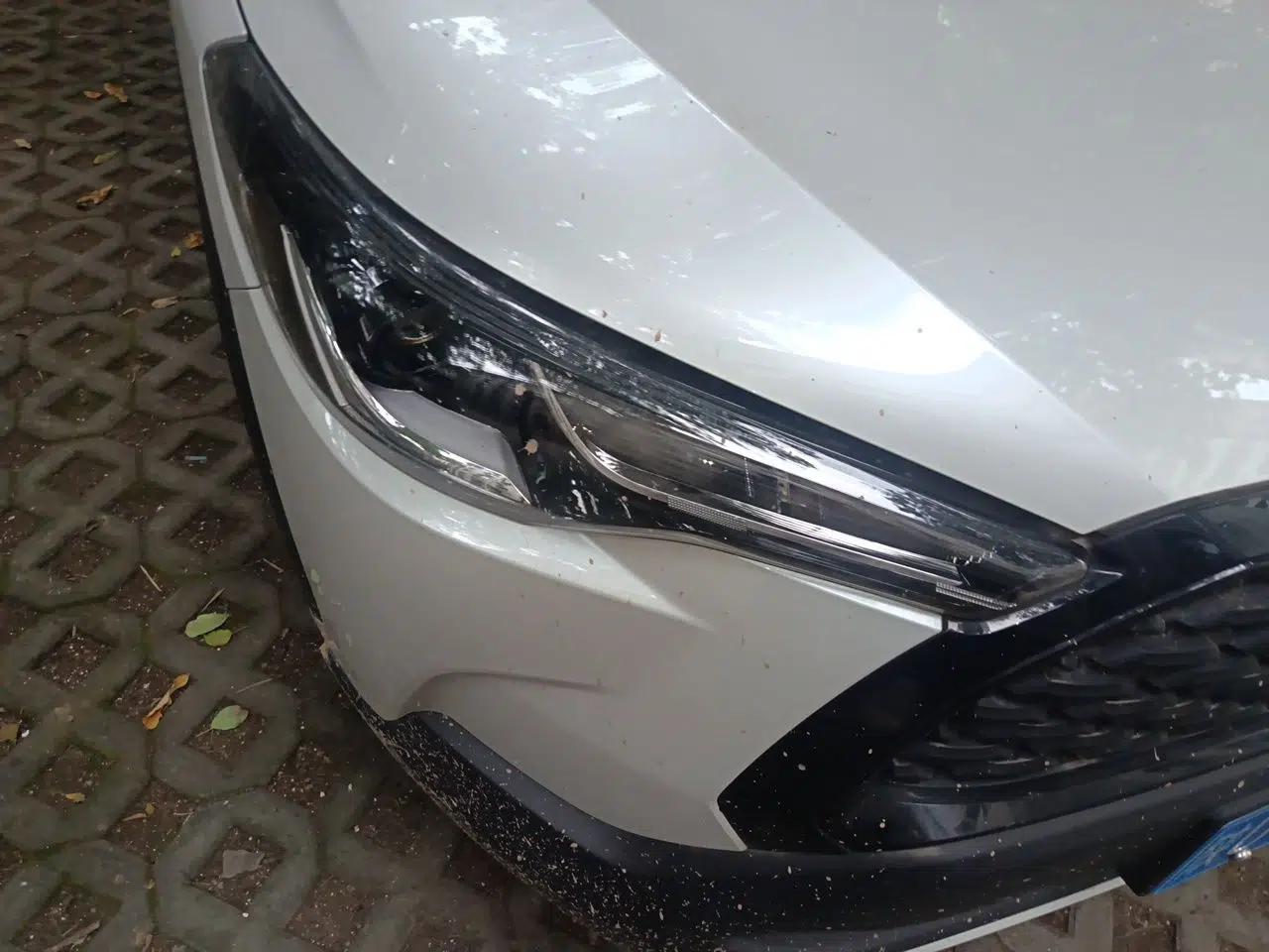 Toyota Corolla Cross 2023 2.0L Elite Edition — миниатюра 7