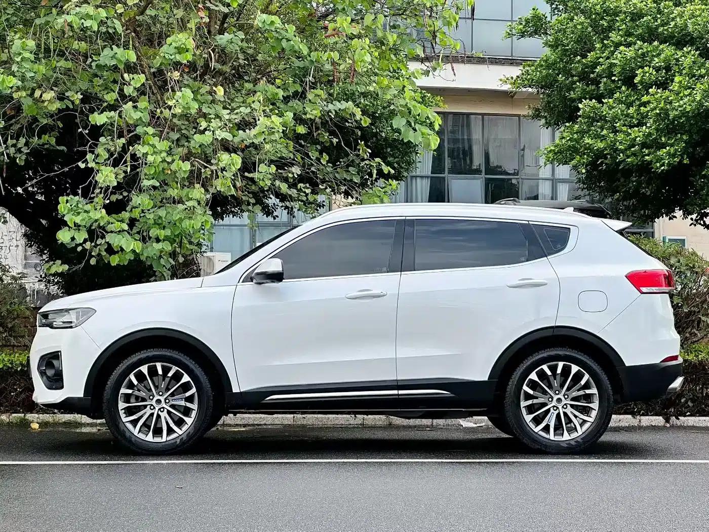 Haval H6 2018 Blue Label 1.5T Automatic Luxury — миниатюра 2