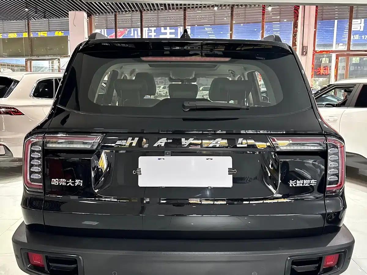 Haval Big Dog 2022 1.5T DCT 2WD Border Collie Edition — миниатюра 5