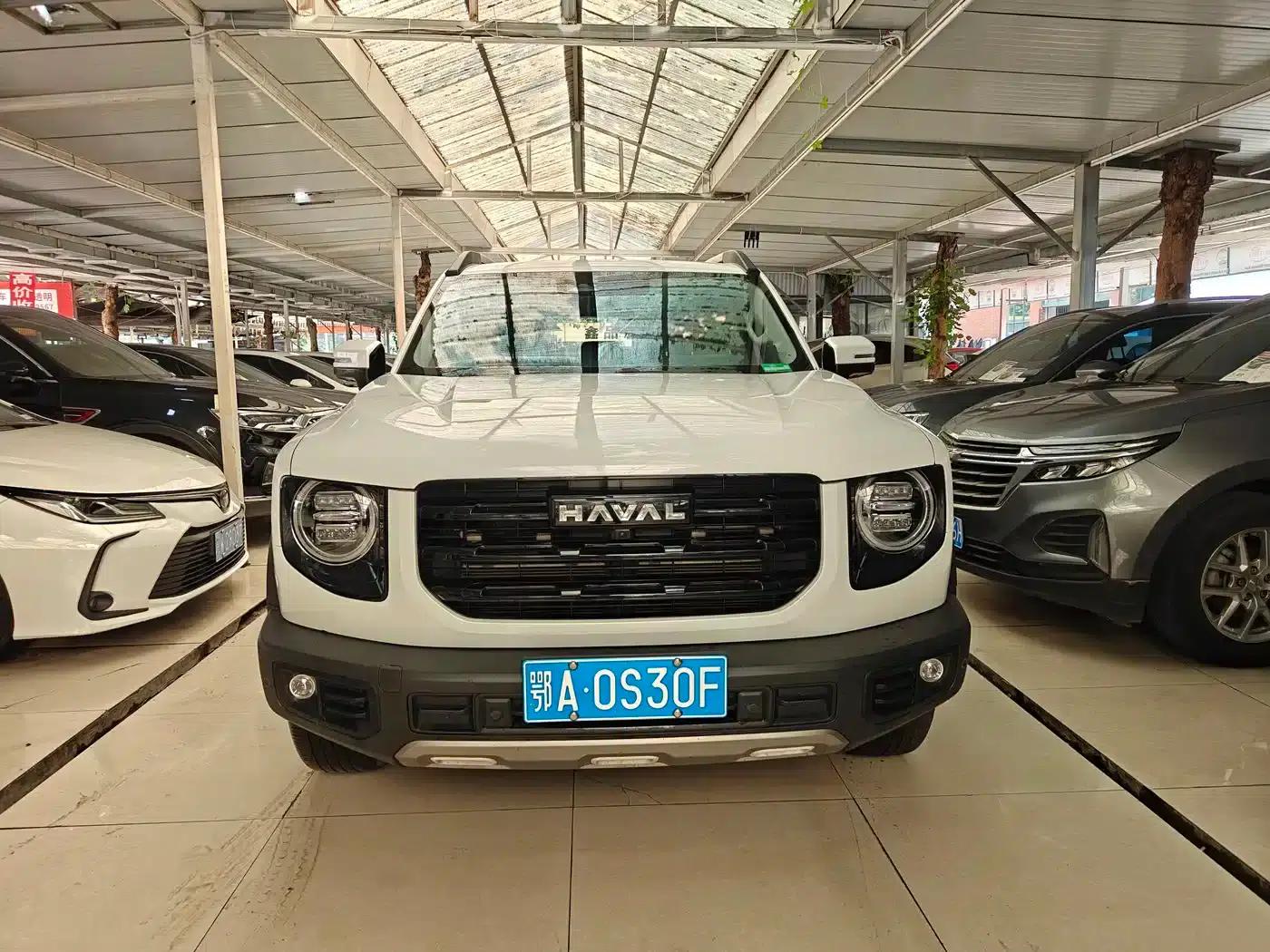 Haval Big Dog 2022 1.5T DCT 2WD Border Collie Edition — миниатюра 2