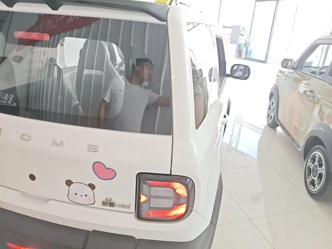 Geely Galaxy Panda 2025 210km Panda Rider — миниатюра 6