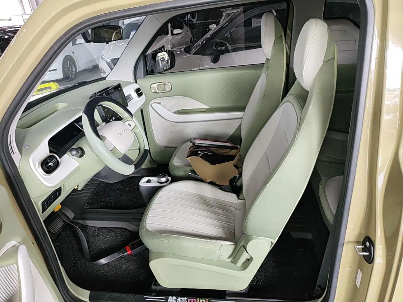 Geely Galaxy Panda 2025 210km Panda Rider — миниатюра 17