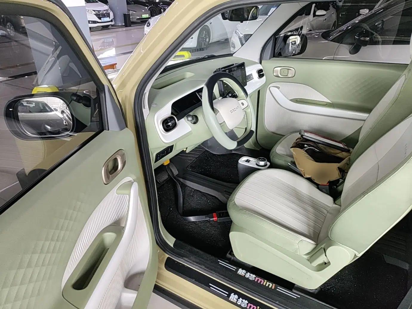 Geely Galaxy Panda 2025 210km Panda Rider — миниатюра 18